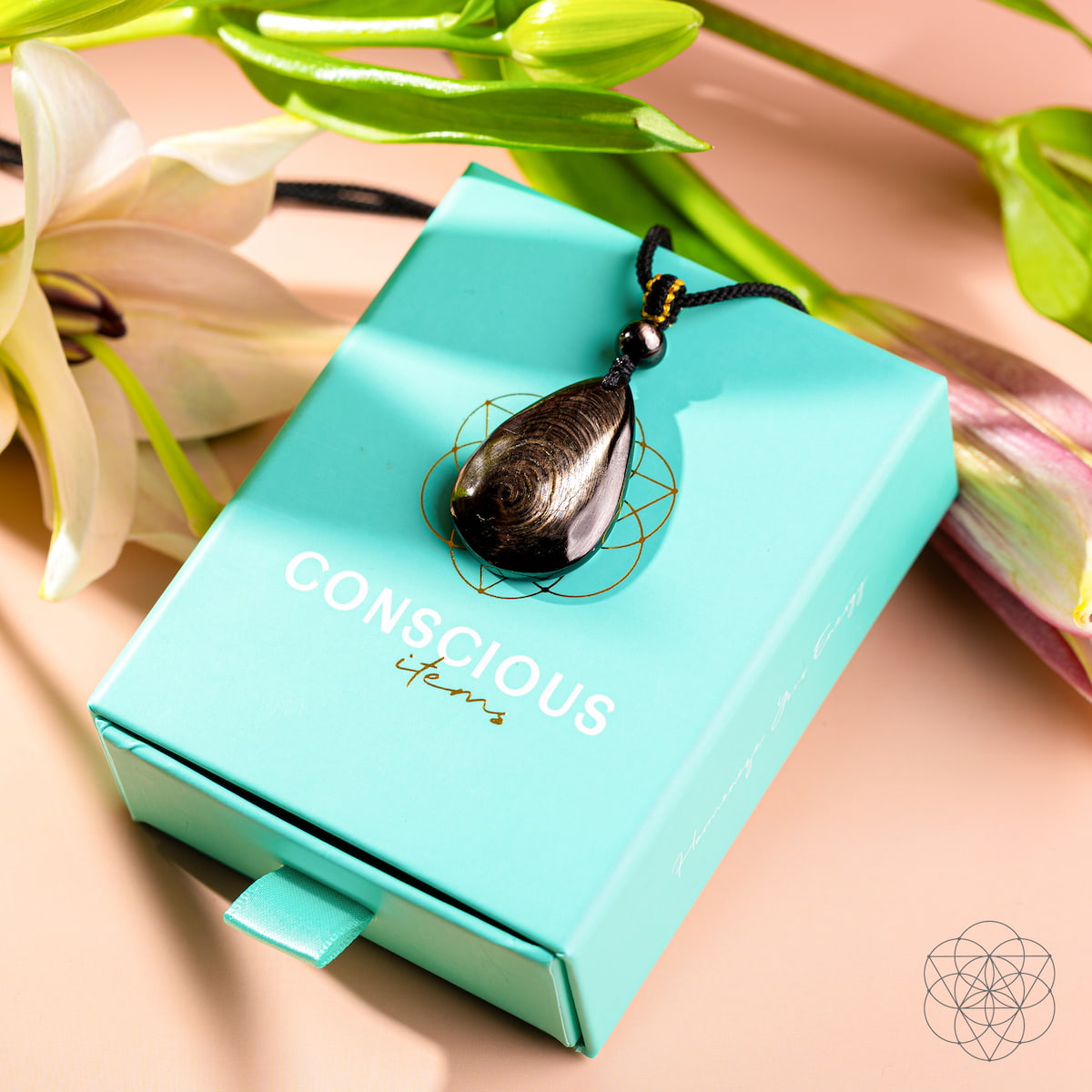 The ﻿Hypersthene Millionaire Manifestation Pendant - Stardust & Moonstone