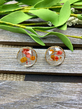 Load image into Gallery viewer, Dried Flower Clear Faceted Earrings - Stardust &amp; Moonstone
