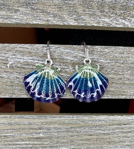Blue Ombre Seashell Earrings - Stardust & Moonstone